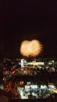 花火の写真は難しい。