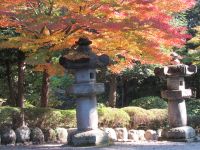 飯能　能仁寺の紅葉