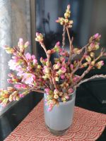 散歩で桜の花を求めて(これで100円)・・我が家で花見😊・・・・・開花宣言は後一輪咲いたら(笑)