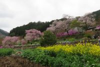 青梅龍珠院№3